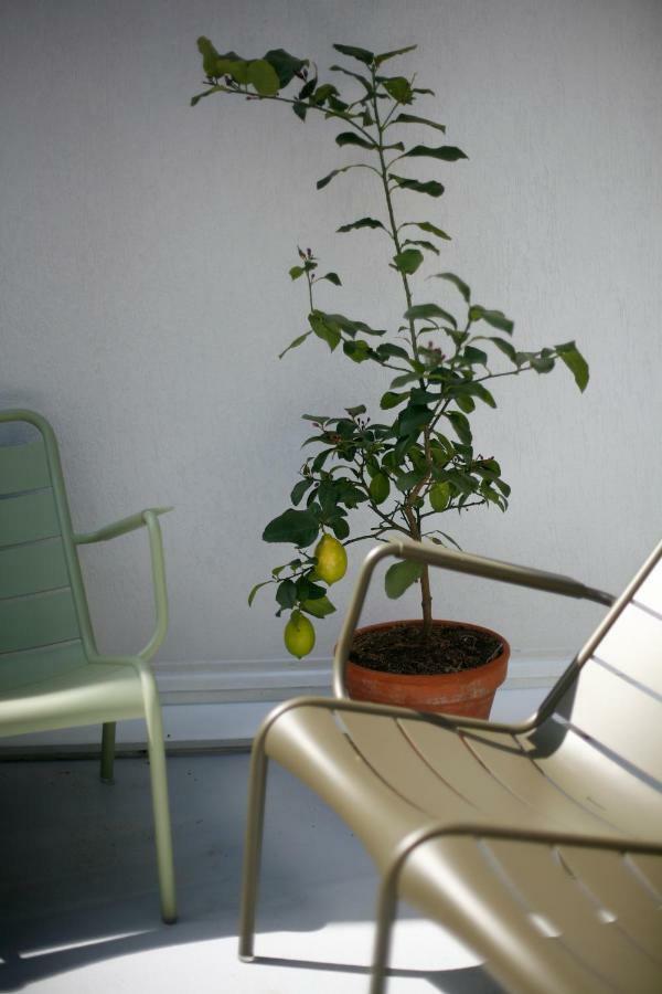 Les 4 Etoiles Acomodação com café da manhã Montpellier Exterior foto